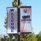 Adolescent Health Summit Banner